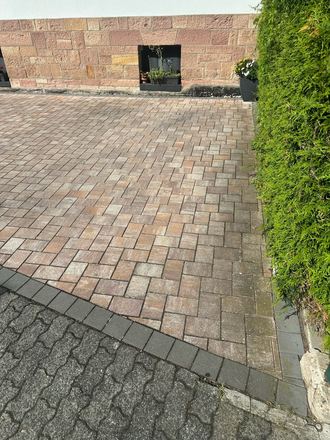 Gepflasterte Einfahrt und Terrasse vor der Reinigung, mit dunklen Ablagerungen am Rand zur Hecke