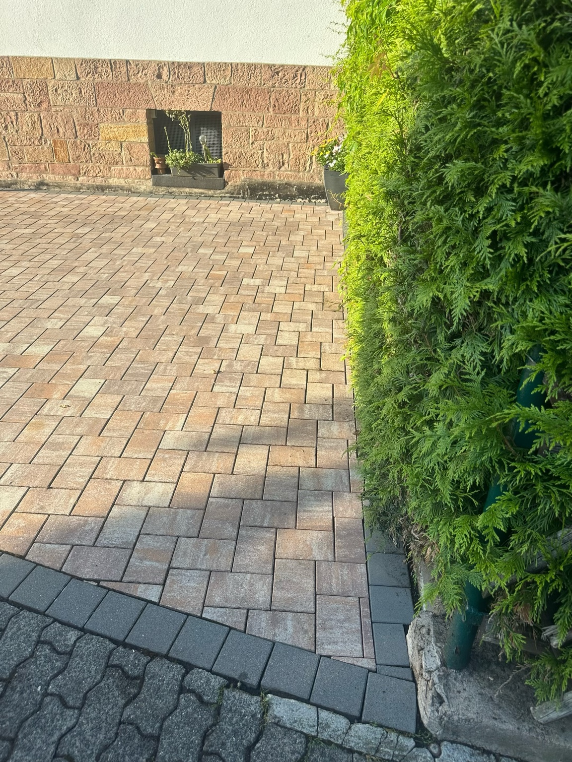 Gepflasterte Einfahrt und Terrasse nach der Reinigung, mit gesäubertem Rand entlang der Hecke