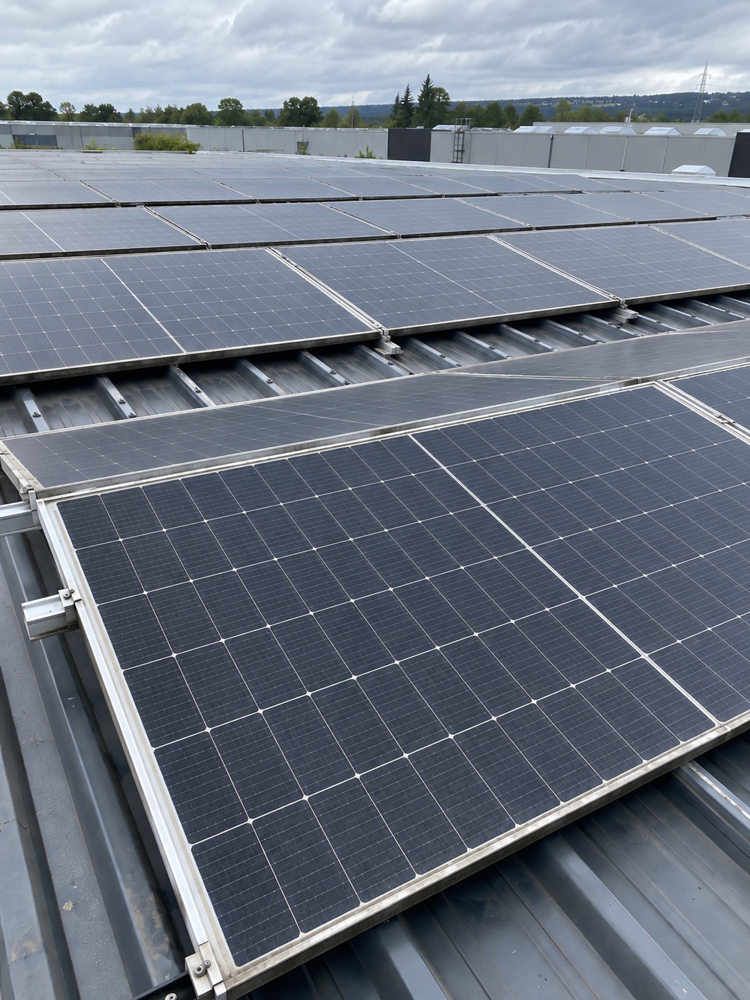Saubere Solarmodule auf einem Hallendach nach der Reinigung