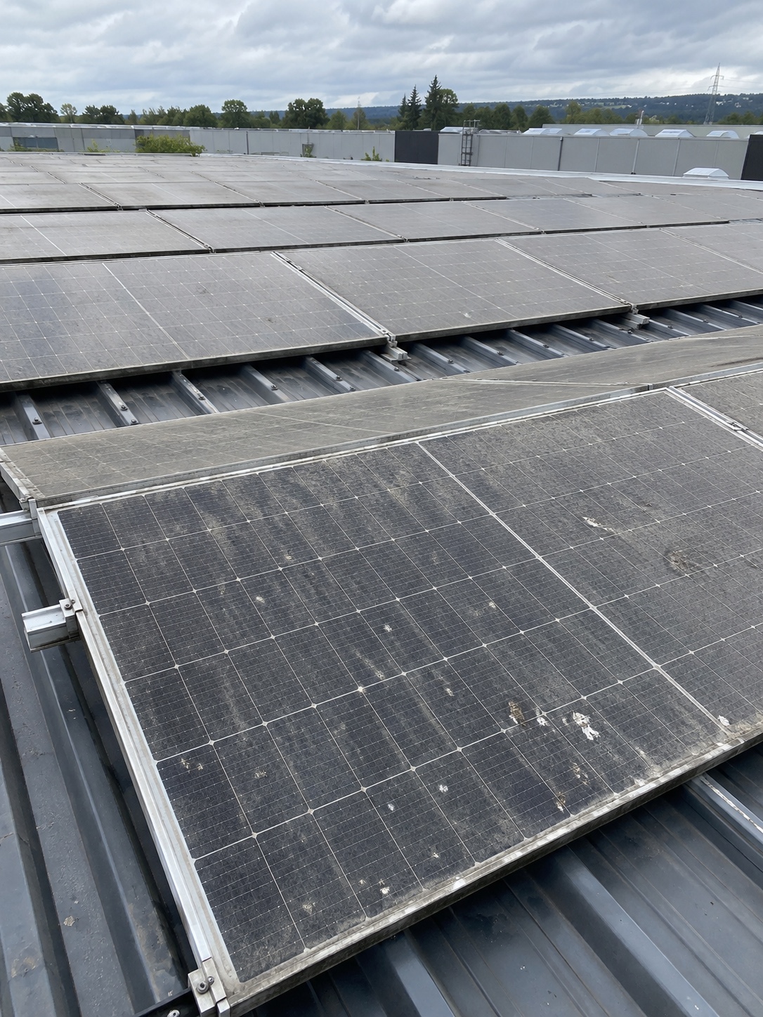 Stark verschmutzte Solarmodule auf einem Hallendach vor der Reinigung